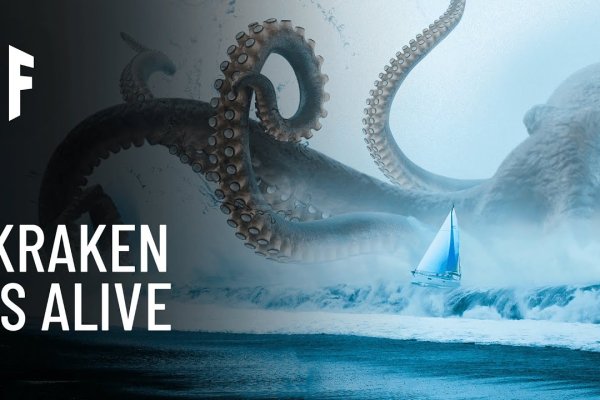 Kraken biz